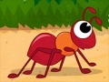 Joc Hurry Up Ant