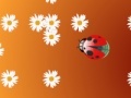 Joc Ladybug and flower