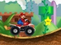 Joc Mario Mushroom Express