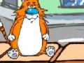 Joc Feed the cat