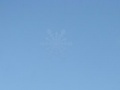 Joc Hidden Snowflakes