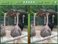 Joc Spot the Difference 2