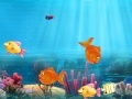 Joc Match the fish pairs