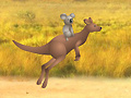 Joc Outback Winds