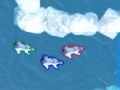 Joc Polar Bear Racing