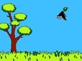 Joc Hunter on ducks