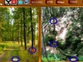 Joc Forest Similarities Game