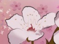 Joc Spring Flowers