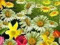 Joc Nature Flowers Puzzle