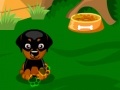 Joc Sweet Dog