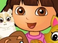 Joc Dora pets care