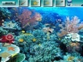 Joc Underwater World G2R