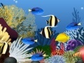 Joc Fish tank decoration