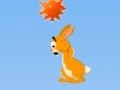 Joc Hopi: The Jumping Rabbit