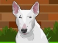 Joc Dress up Bull Terrier Dog