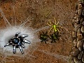 Joc Arachnid Wars
