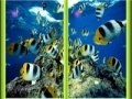 Joc Underwater Similarities