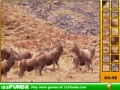 Joc Hidden Spots Animals