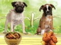 Joc Puppies meal time