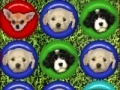 Joc Cute puppy match