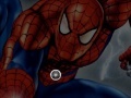 Joc Spider-Man and The Web