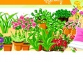 Joc Garden design