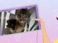 Joc Style Kaya's Tablet