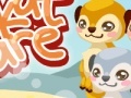 Joc Meerkat care
