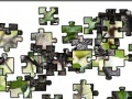Joc Jigsaw: Raccoons