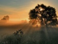 Joc Sunset