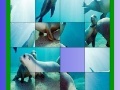 Joc Ocean and seals slide puzzle