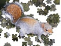 Joc Jigsaw: Posing Squirrel