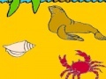Joc Seal in the beach coloring