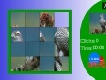 Joc Japanese Sparrowhawk slide puzzle