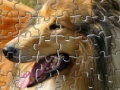 Joc Pet Puzzles: Dogs