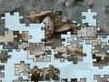 Joc Turtle puzzle