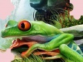 Joc Puzzle Frog