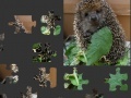 Joc Hedgehog Puzzle 