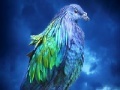 Joc Lovely blue bird slide puzzle