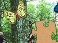 Joc 3D Real Puzzle butterfly