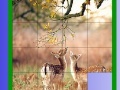 Joc Two Deer Slide Puzzle