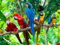 Joc Zoo Hidden Objects 