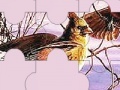 Joc Chatter birds puzzle