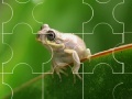 Joc Cute little frog puzzle