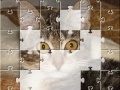 Joc Jigsaw: The Kitten