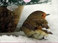 Joc Little Bird And Snow Puzzle 