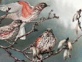 Joc Birds on a tree slide puzzle