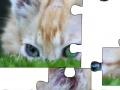 Joc Jigsaw: Cat Hiding