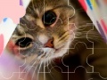 Joc Cat really cute 3 puzzle