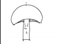 Joc Mushroom